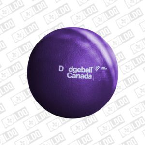 Ballon Dodgeball Ballon-chasseur